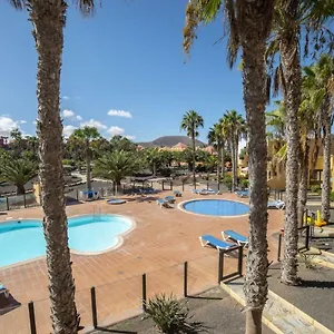 Lightbooking Oasis Royal F311 Corralejo